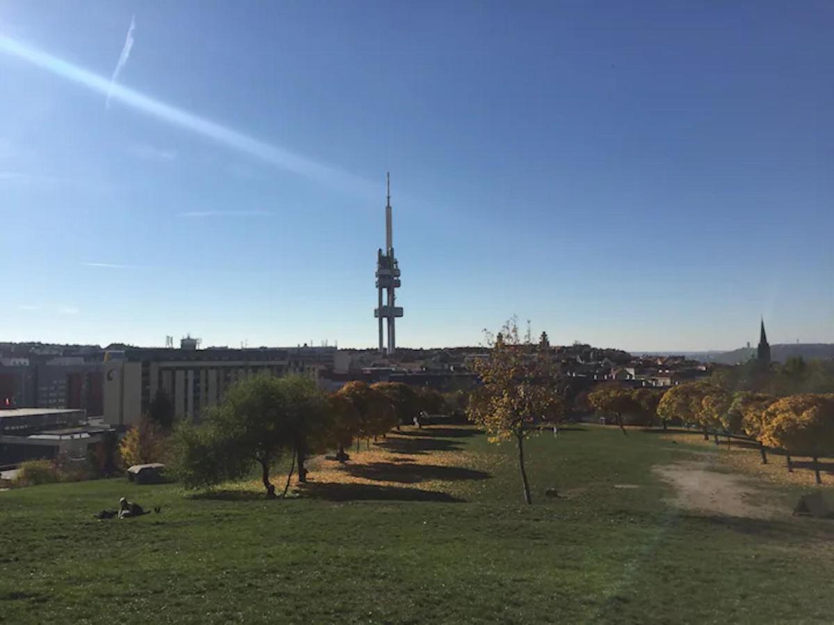 Ground Floor Apartment براغ المظهر الخارجي الصورة